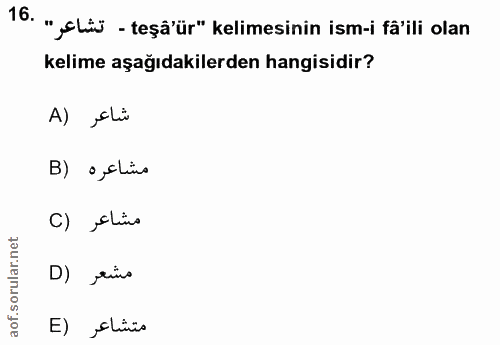 Soru 16