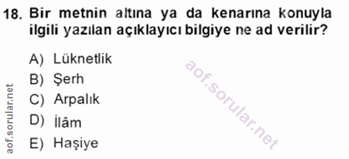 Soru 18