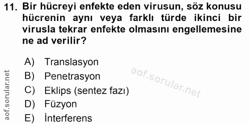 Soru 11