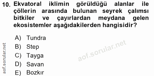 Soru 10