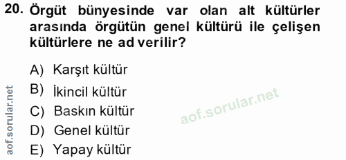 Soru 20