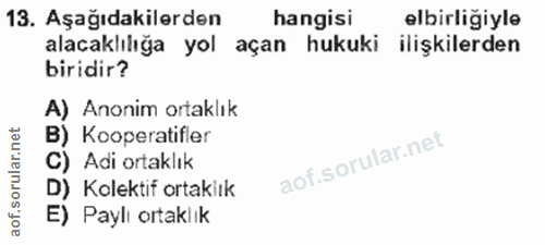 Soru 13
