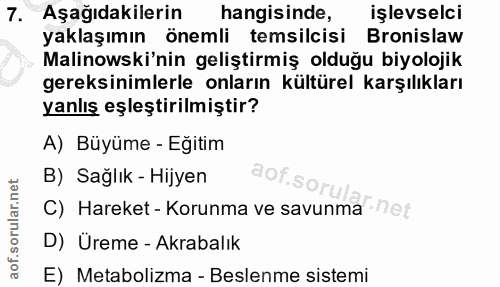 Soru 7