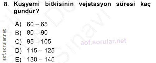 Soru 8