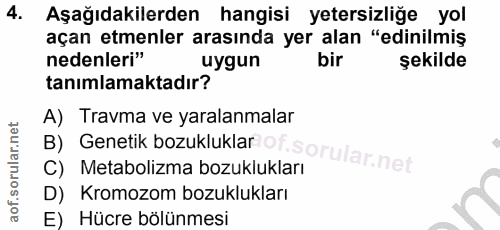 Soru 4