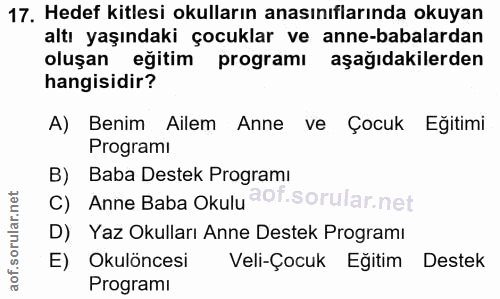 Soru 17