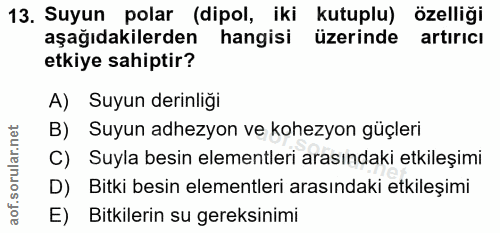 Soru 13