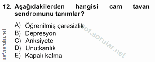 Soru 12