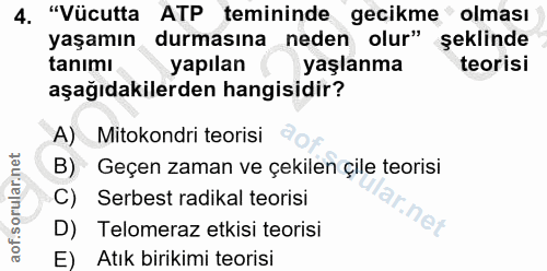 Soru 4