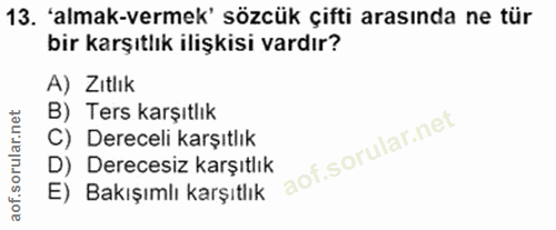 Soru 13
