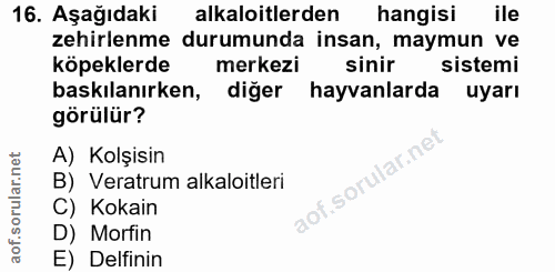 Soru 16