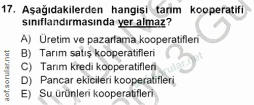 Soru 17