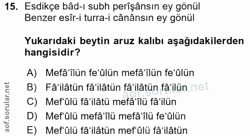 Soru 15