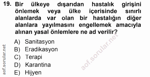 Soru 19