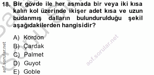 Soru 18