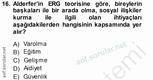 Soru 16