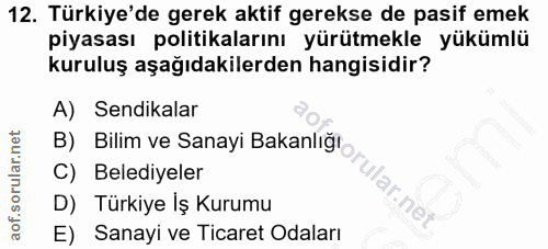 Soru 12