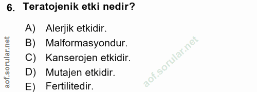 Soru 6
