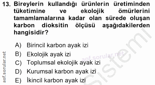 Soru 13