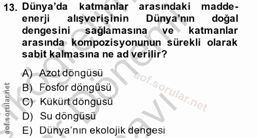 Soru 13