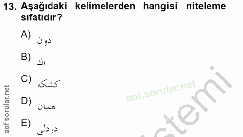Soru 13