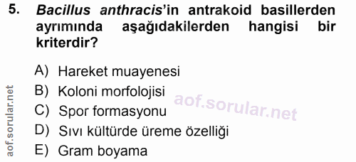 Soru 5