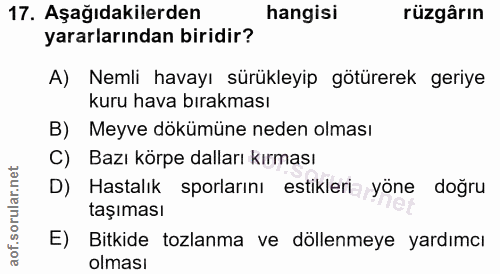 Soru 17