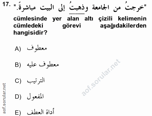 Soru 17