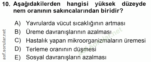 Soru 10
