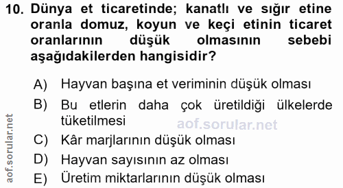 Soru 10