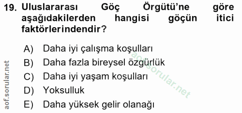 Soru 19
