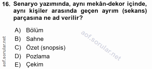 Soru 16