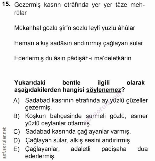 Soru 15