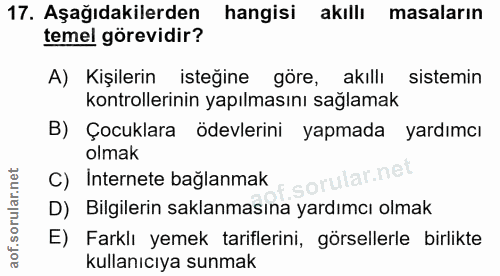 Soru 17