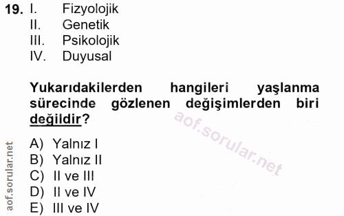 Soru 19