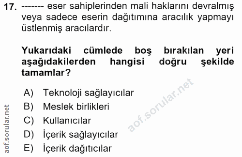 Soru 17