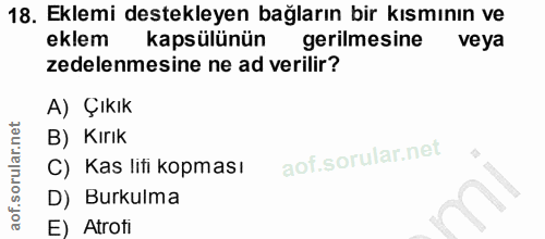 Soru 18