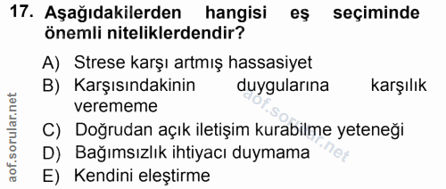 Soru 17