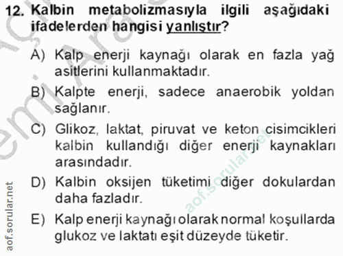 Soru 12