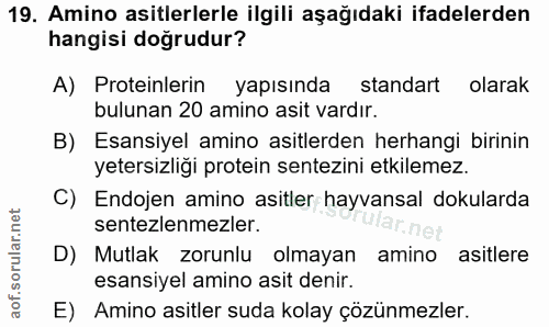 Soru 19