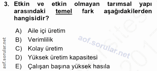 Soru 3