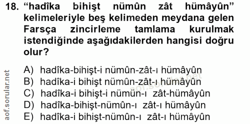 Soru 18