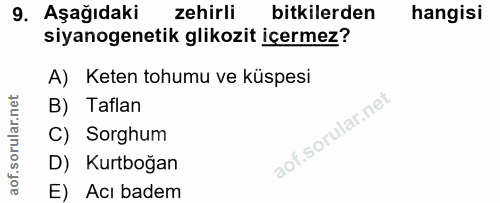 Soru 9