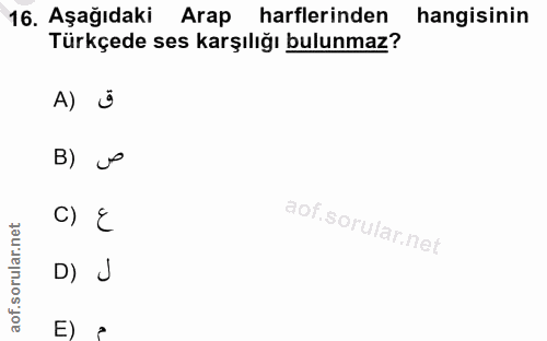 Soru 16