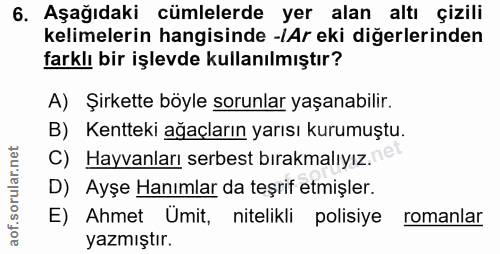 Soru 6