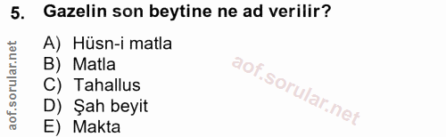 Soru 5