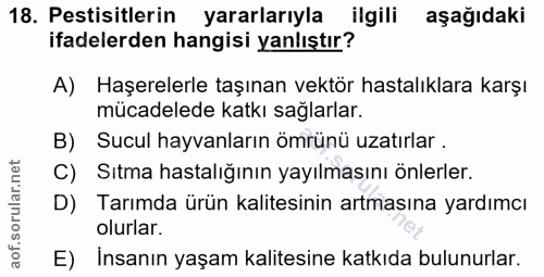 Soru 18