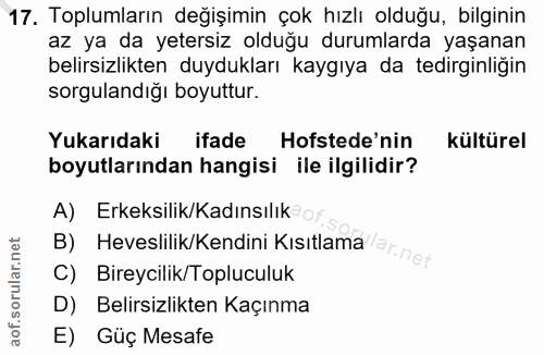 Soru 17