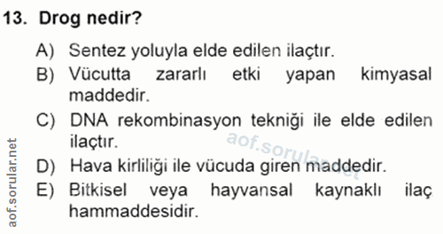 Soru 13