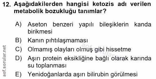 Soru 12